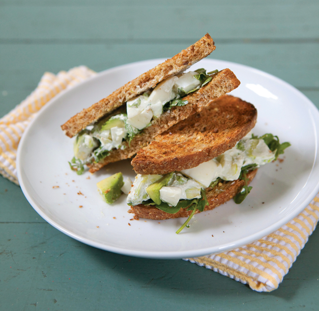 sqs_eggs_img_3822-adjusted